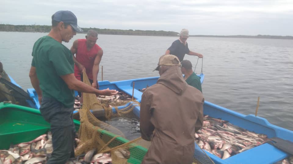 Pescatun has reserves to exploit in fish catches, although the scarcity of fuel and resources such as fishing gear affect the activity.