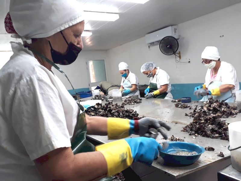 Pescadores5
