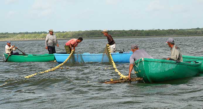 Pescadores tuneros redoblan esfuezos para incrementar la captura de peces.