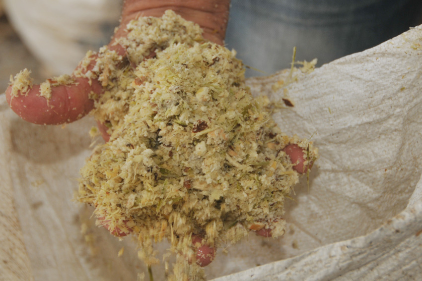 Numerous alternatives have been sought to feed the animals
