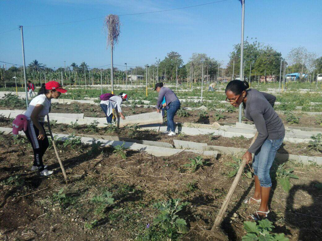 Trabajo voluntario 2025