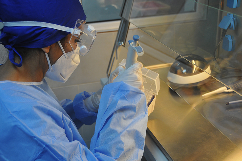 laboratorio20