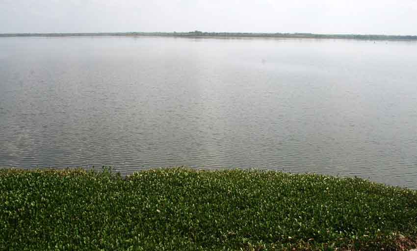 Presa El Rincón.