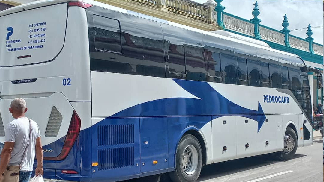 omnibus pedrocarr