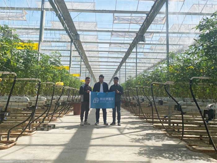 Greenhouse built by Shandong Lisente Agricultural Technology Co., Ltd. (Lisente) in Kazakhstan.